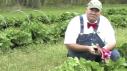 Farmer Lee's Late-Spring Picks