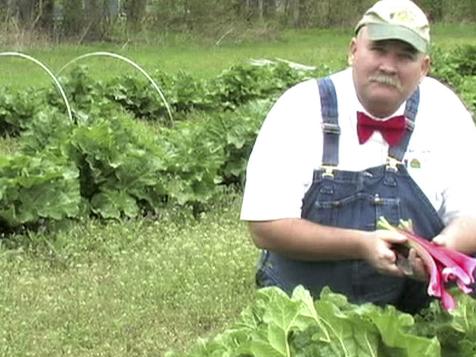 Farmer Lee's Late-Spring Picks