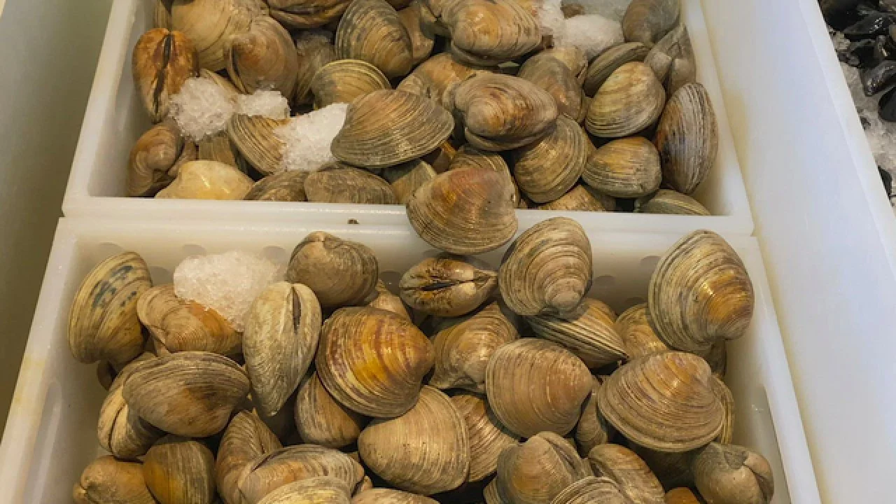 Seafood Shopping with Antonia Lofaso