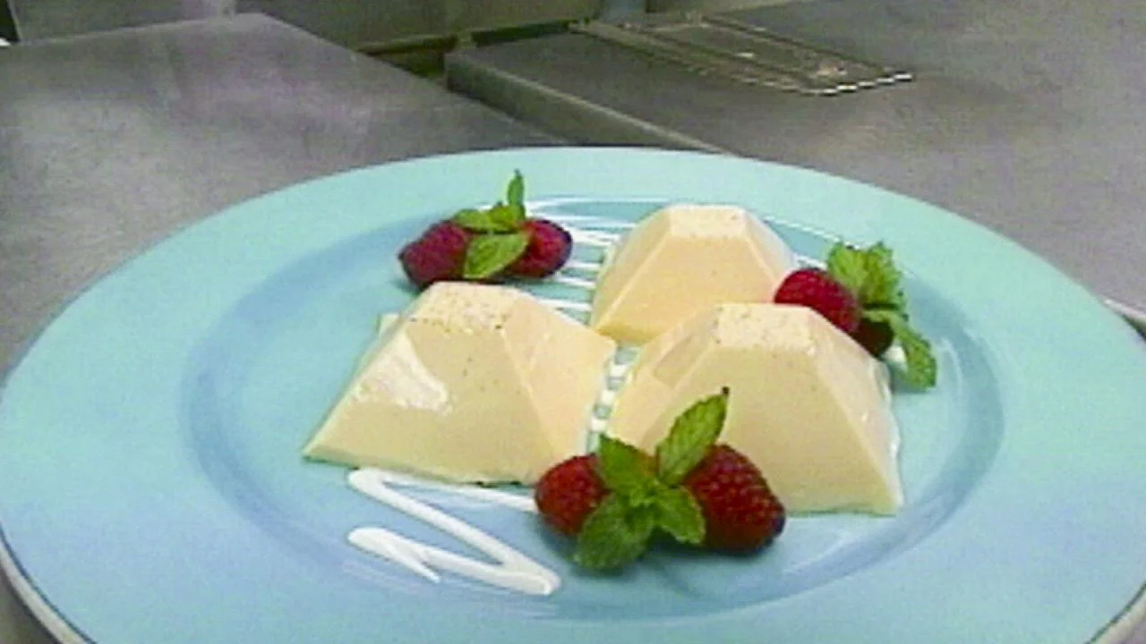 Alton's Panna Cotta Brain