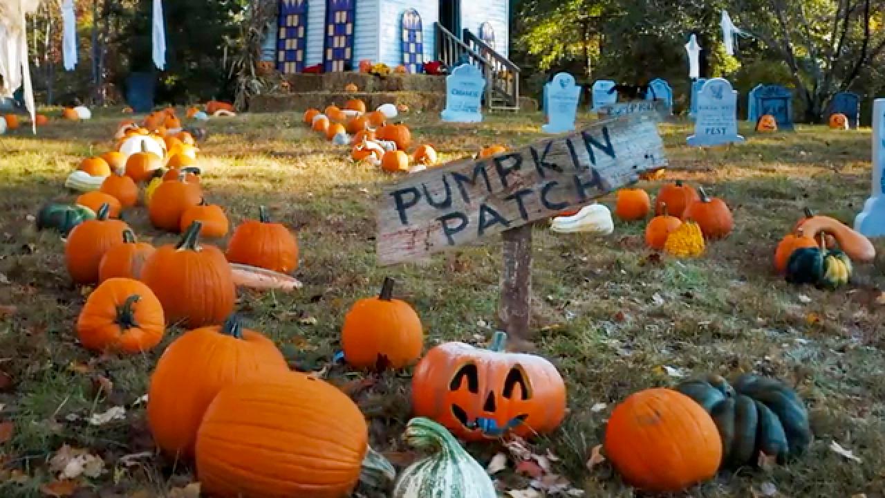 Outrageous Pumpkins Farm Tour