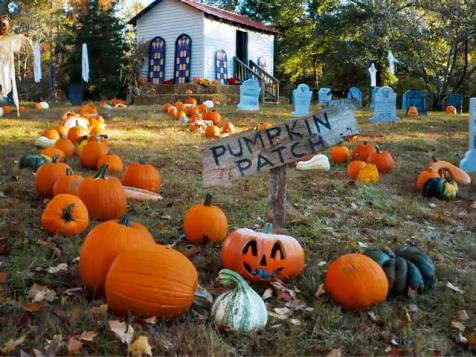 Outrageous Pumpkins Farm Tour