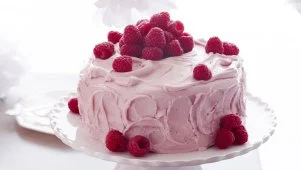 Giada's Orange-Raspberry Cake