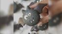 Bat Macarons