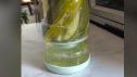 Reinvented Pickle Jar