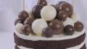 Cake of Surprises