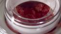 Giada's Watermelon Sorbet