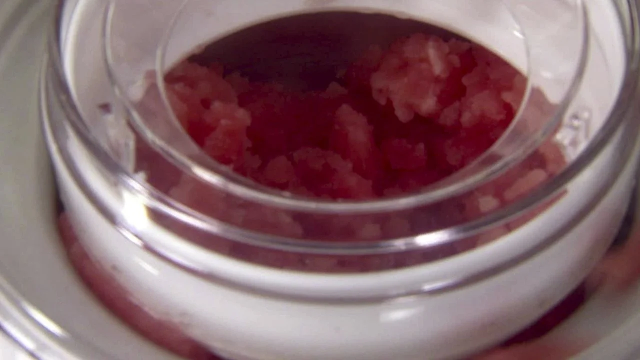 Giada's Watermelon Sorbet