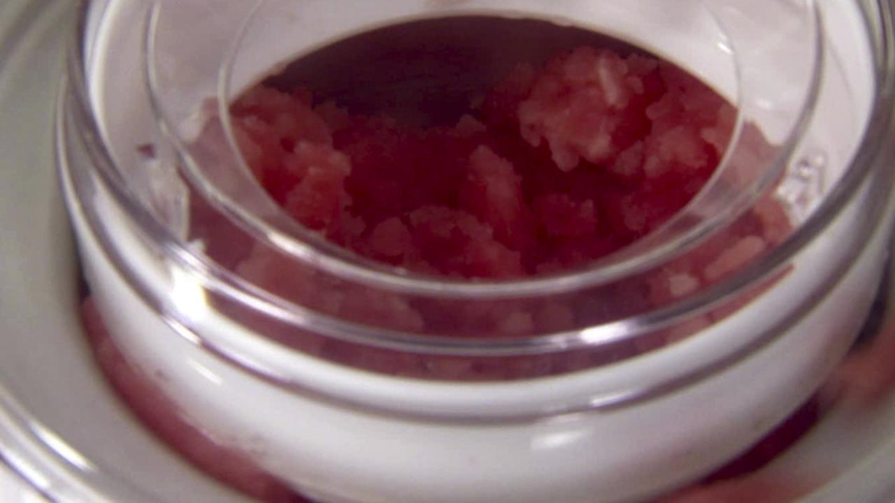 Giada's Watermelon Sorbet