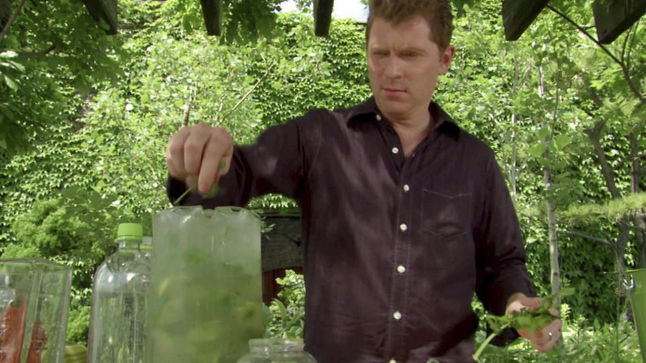 Bobby's Mojito Limeade Recipe