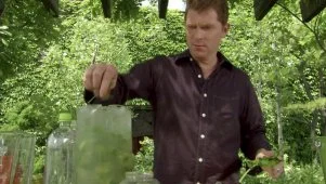 Bobby's Mojito Limeade Recipe