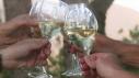 Wines for Thanksgiving Meals