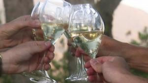 Wines for Thanksgiving Meals
