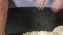 Jeff's Southern Biscuit Recipe