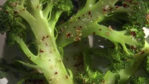 Simple and Satisfying Broccoli