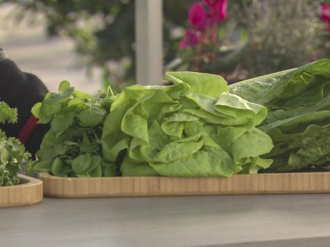 What's the Difference Between Each Kind of Lettuce