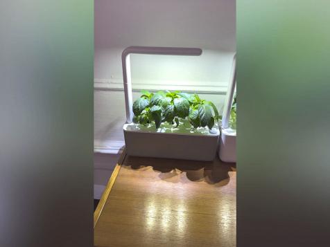 Click & Grow Indoor Garden