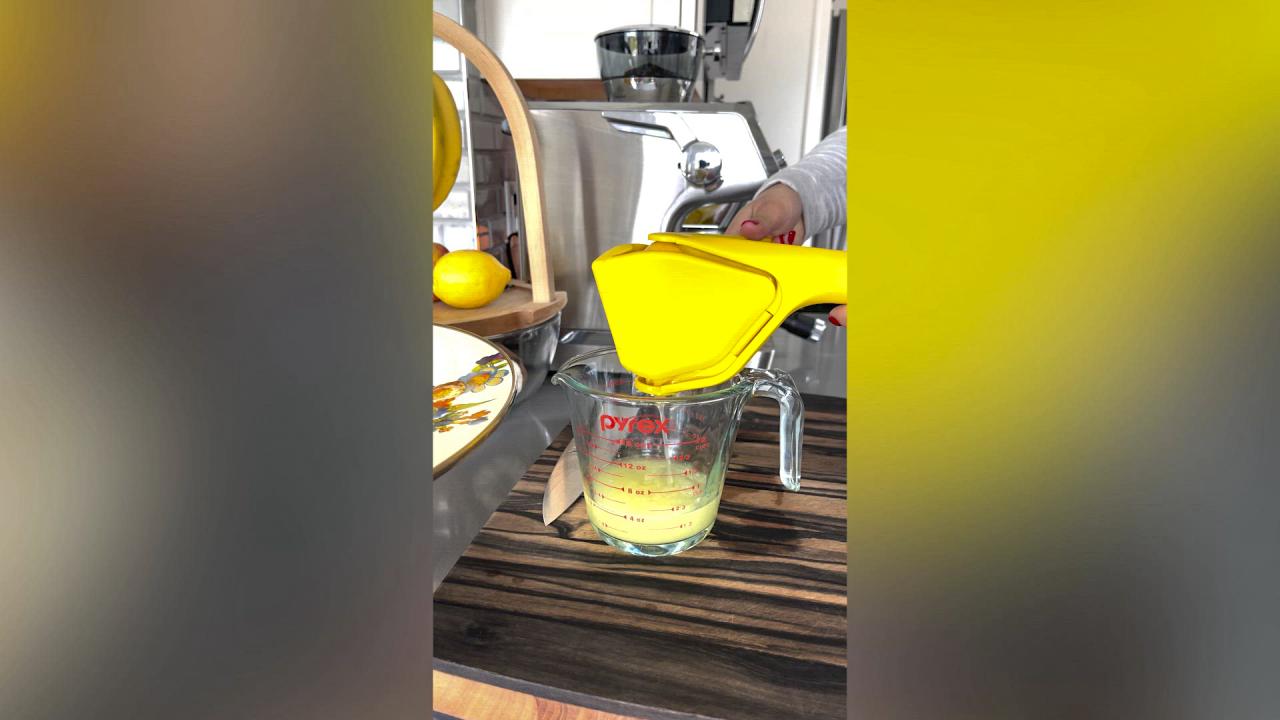 Folding Juicer