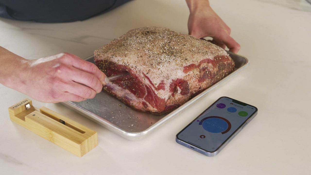 Best Meat Thermometers