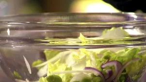 Fava Bean and Pecorino Salad