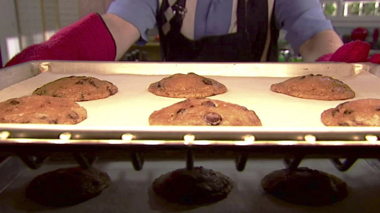 Chewy Chocolate Chip Cookies