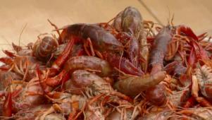 Bobby's Grilled Crawfish