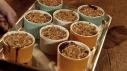 Ree's Cherry Almond Crisp