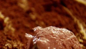 Blackberry-Chip Ice Cream