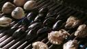 Grill Clams, Oysters & Mussels