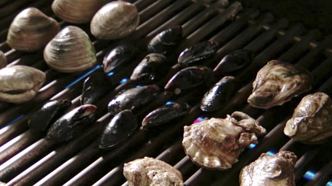 Grill Clams, Oysters & Mussels