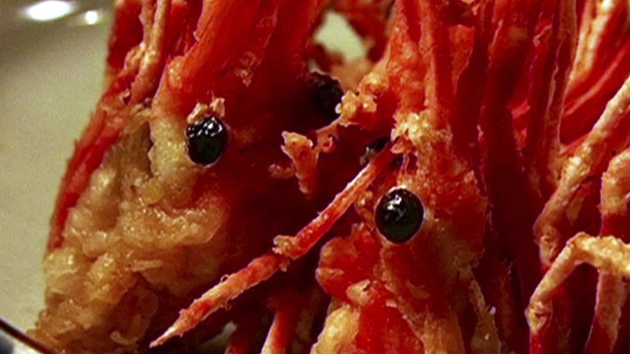 Duff Goldman: Shrimp Heads