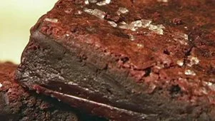 Claire Robinson: Brownies