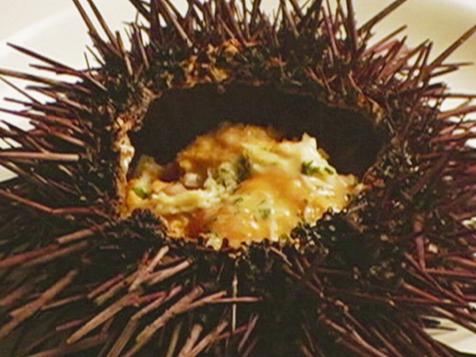 Aida Mollenkamp: Sea Urchin