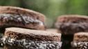 Tehachapi Moon Pies