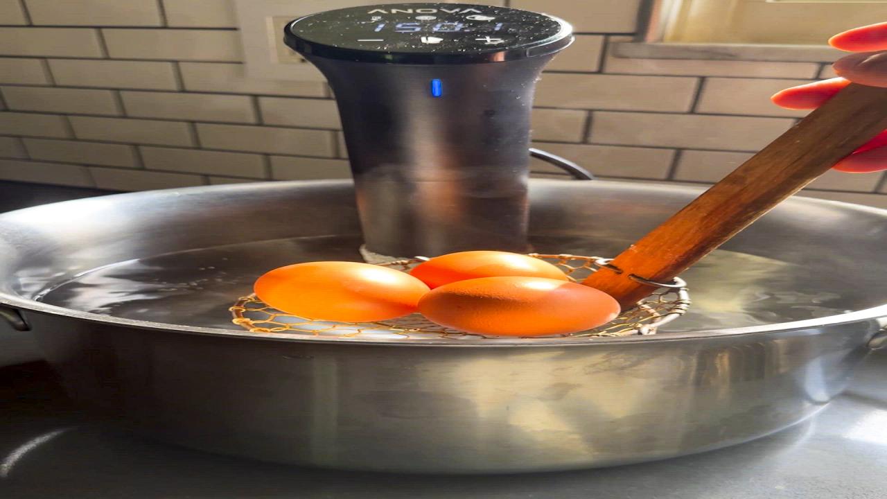 Digital Sous Vide Pot