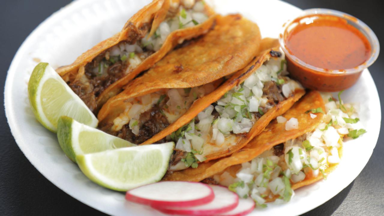 Goat Birria Quesataco
