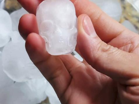 Skull Ice Cube Mold