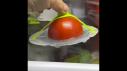 Savel Food Saver