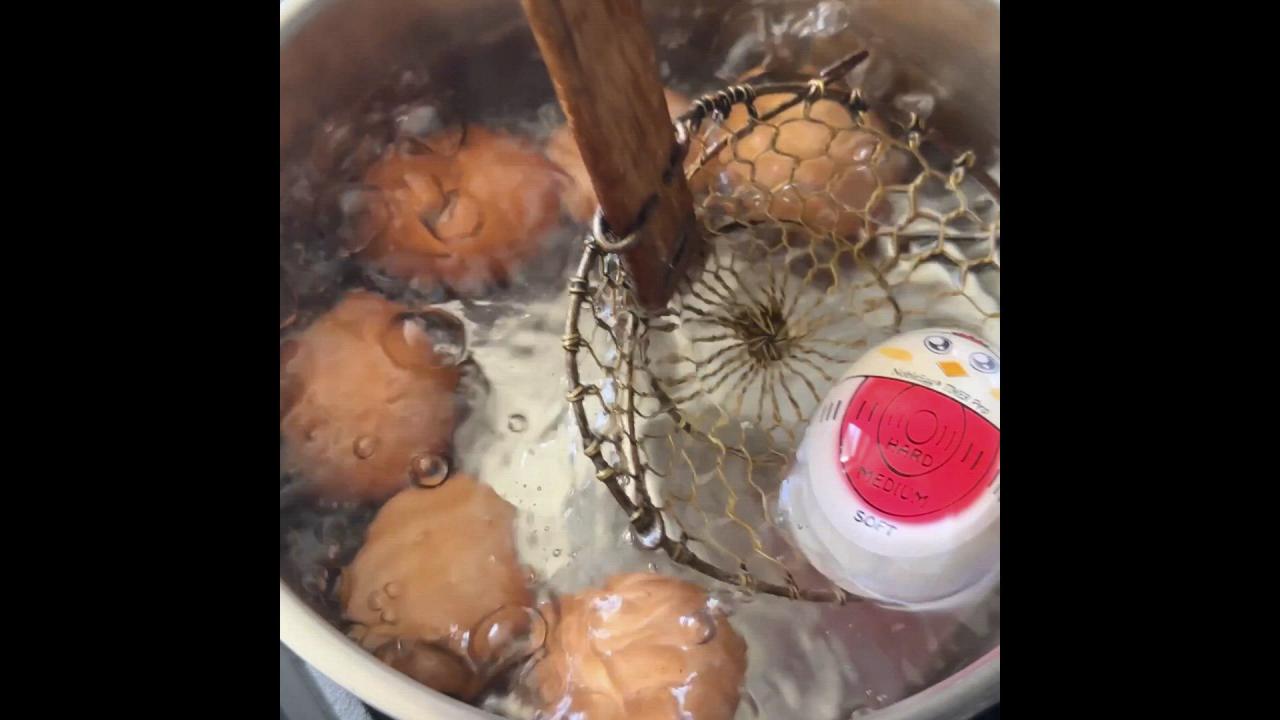 NobleEgg Egg Timer Pro