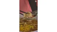 Wonton Mein