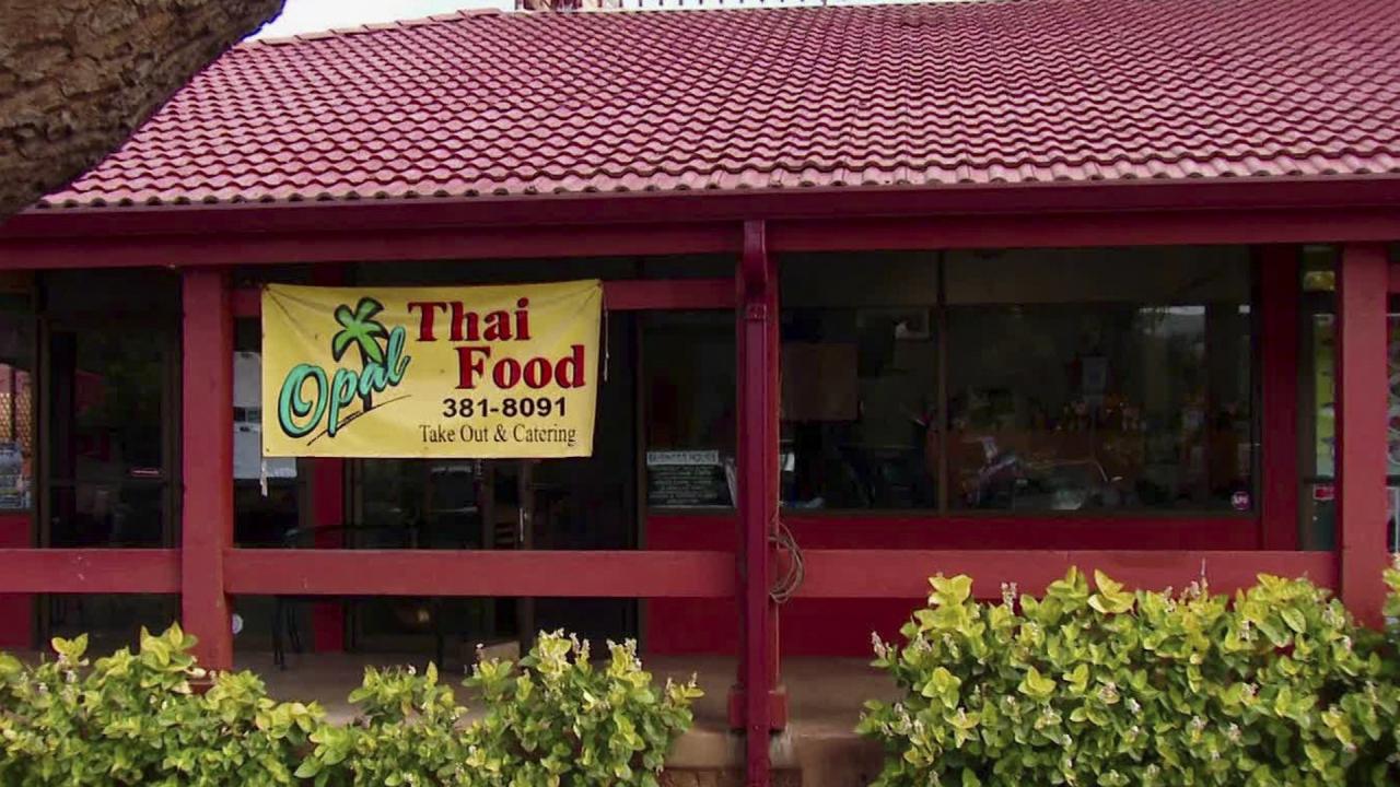 Opal Thai Food