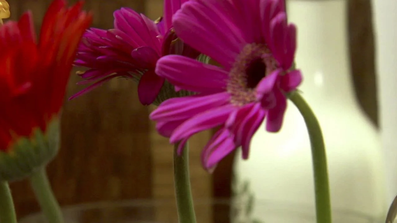 Ice Cream Flower Pot Desserts