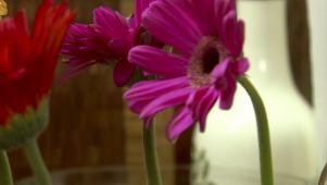 Ice Cream Flower Pot Desserts