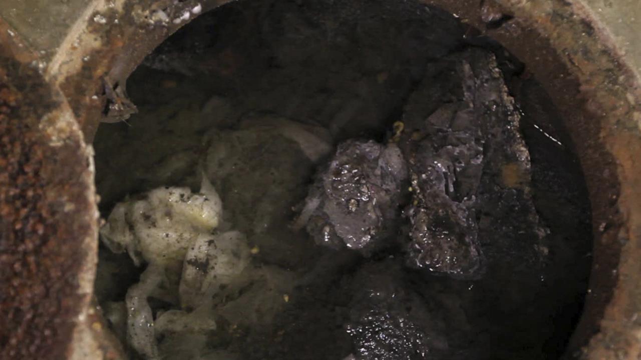 Sewer Surprise
