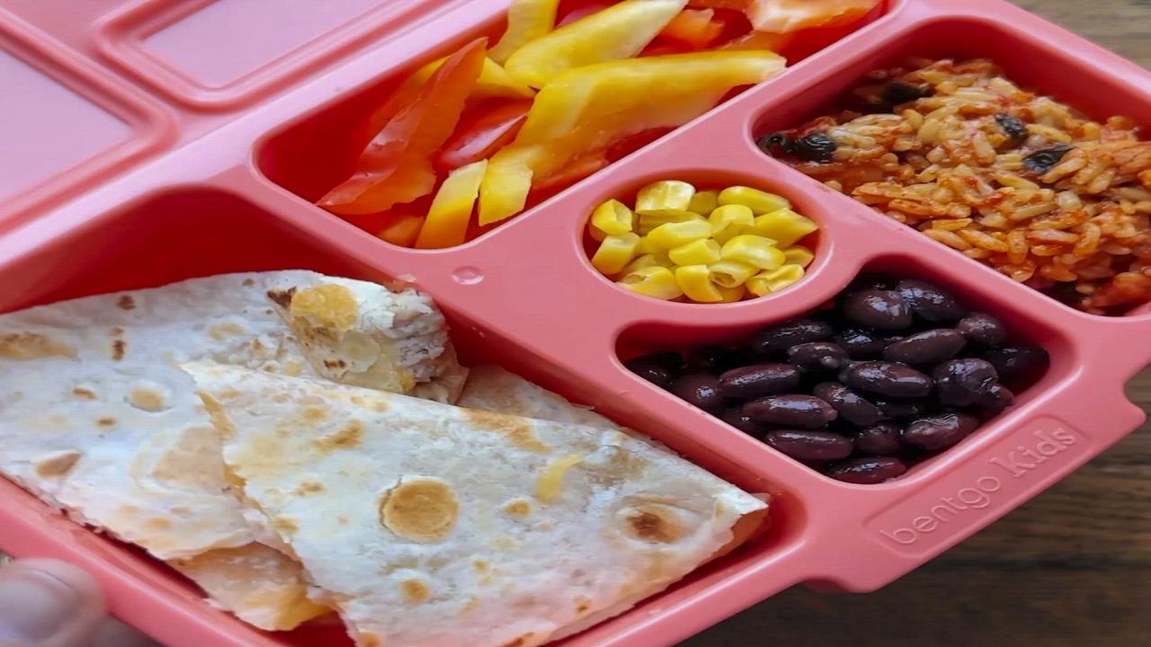 Bento Lunch Boxes