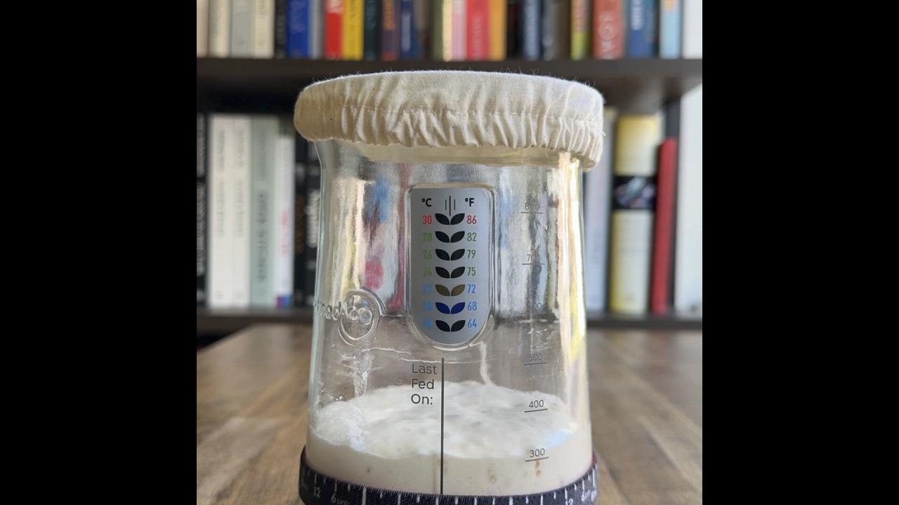 Sourdough Starter Kit