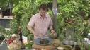 Grilled Chicken Breasts with Shiitake Mushroom Vinaigrette