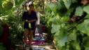 Giada's Backyard Treasure Hunt