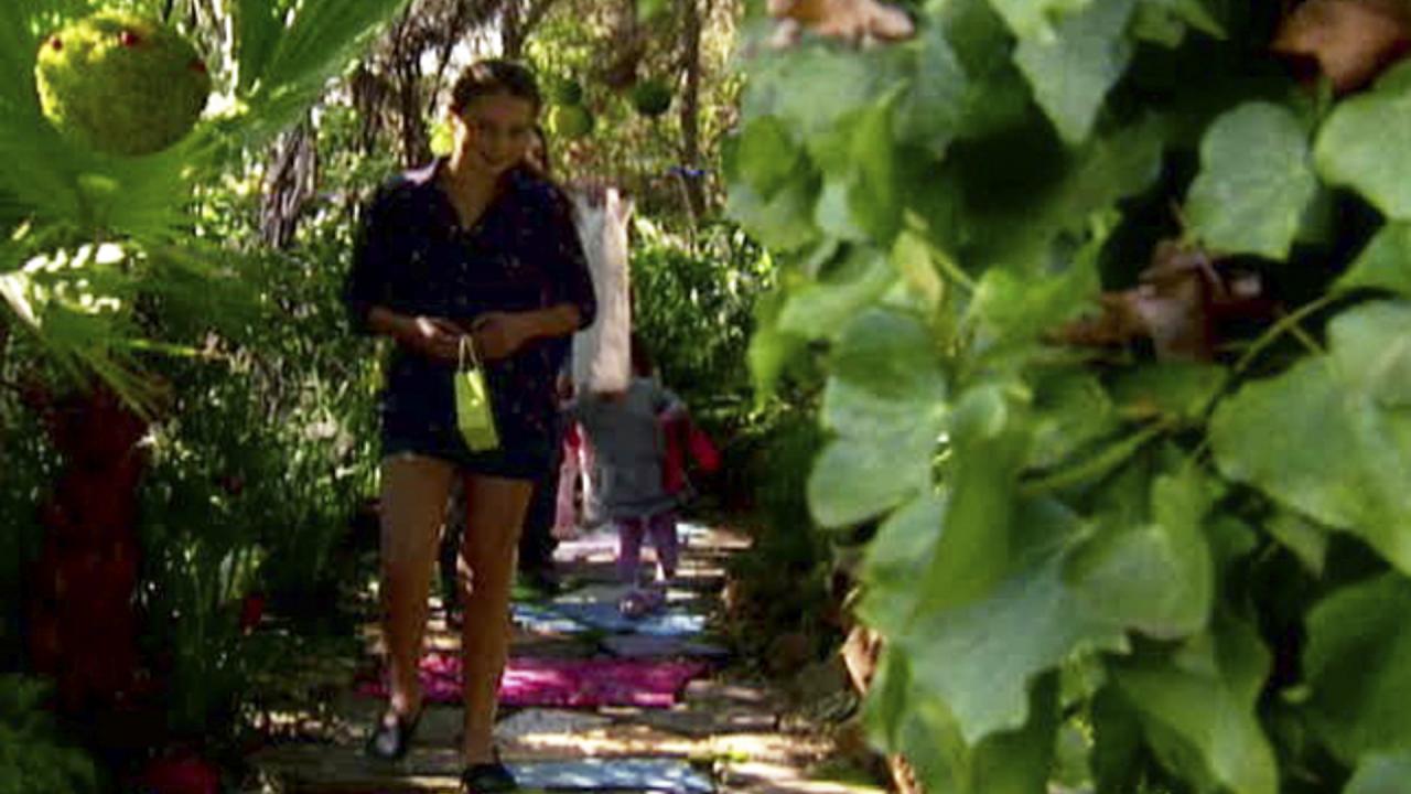Giada's Backyard Treasure Hunt