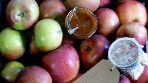 Nancy's Spiced Apple Butter
